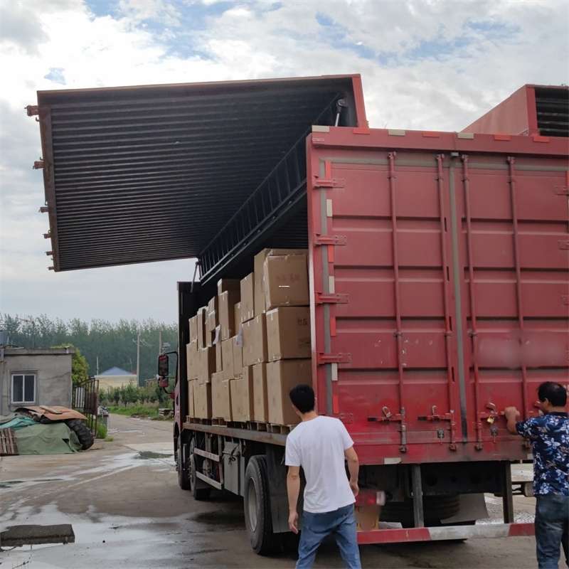 遂溪县扎囊县：物流专线的高效货运之旅